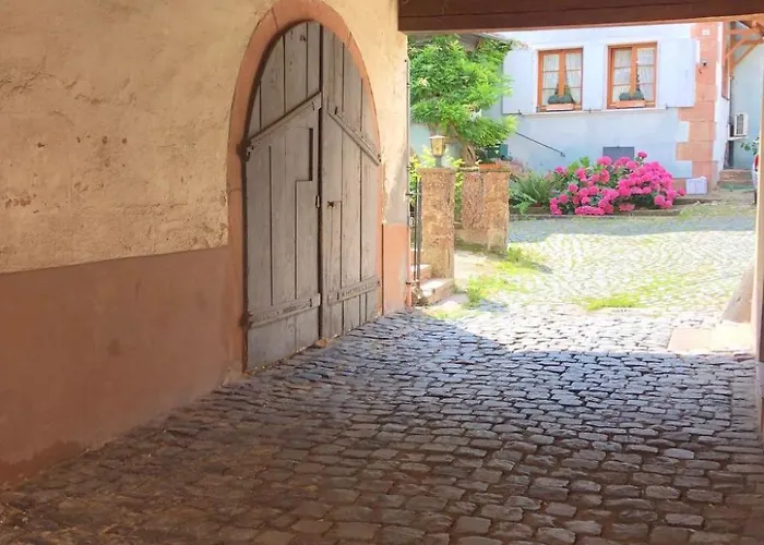 Chez L'alsacien By Interhome Appartement Barr